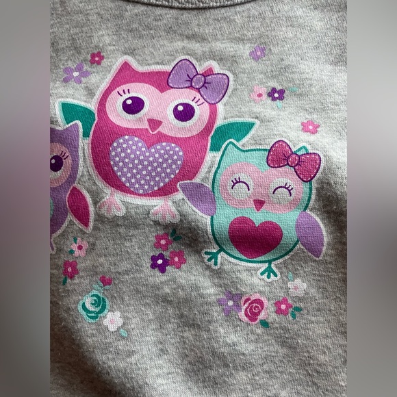 Baby Girls Gray Sweatshirt with Owls w/ purple sweatpants | 6-9 months - Picture 2 of 7